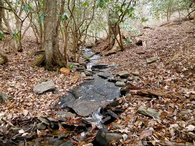 Head Hiawassee River - panoramio