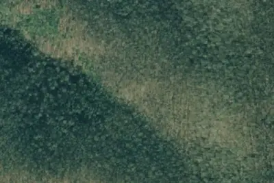 Camp site