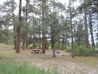 Ute Campground Site