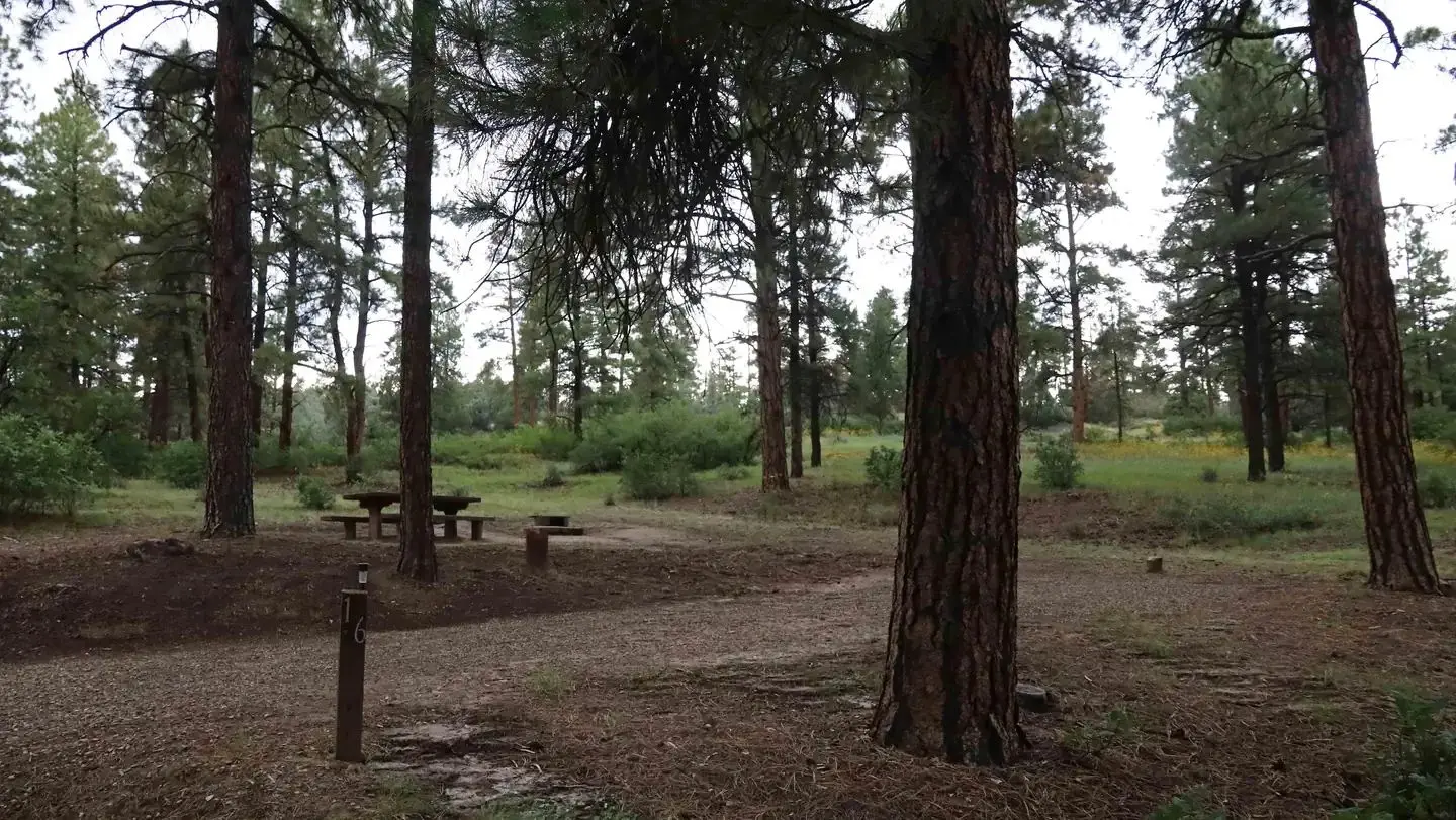 Campsite at Ute Campground