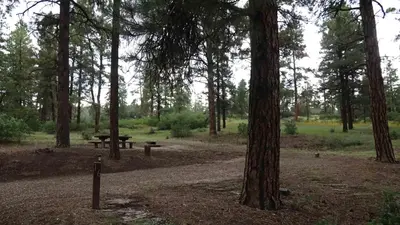 Ute Campground (CO)