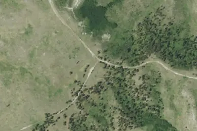 Foster Rd