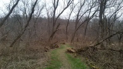 Hiking Trail at Carley State Park