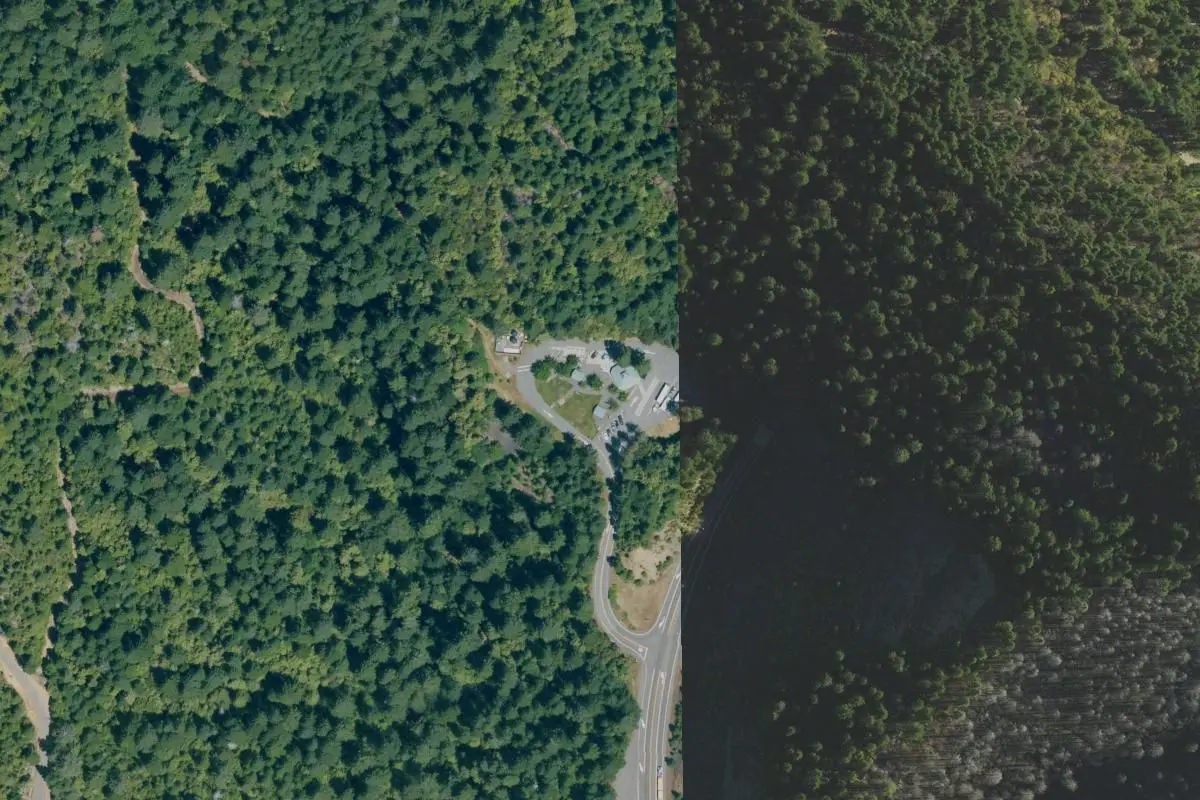 Aerial view
