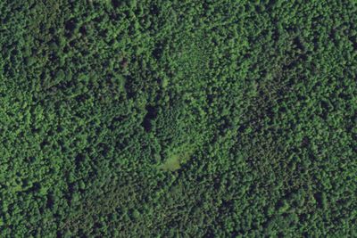 Lake Champlain Islands Complex - Valcour Island Primitive Camp Sites