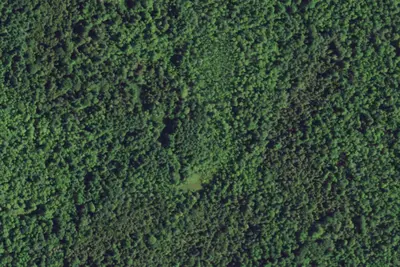 Lake Champlain Islands Complex - Valcour Island Primitive Camp Sites
