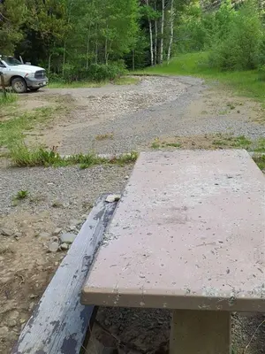 Chippy Park Debris (52261159454)