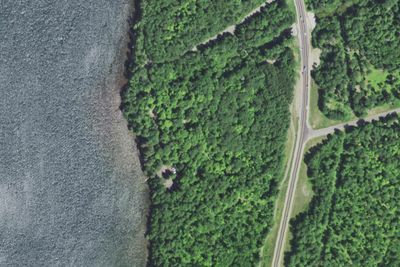 South Trout Lake Campground