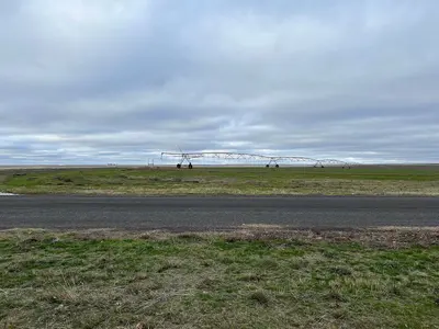 Farmland behind the Schrag Rest Area