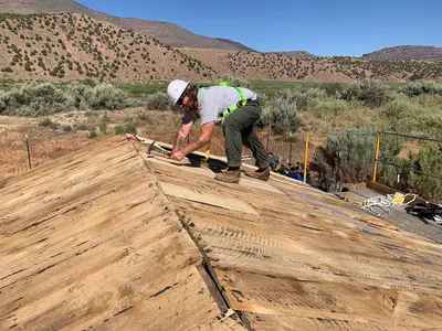 GAOA DinosaurNM3 (53893625870)