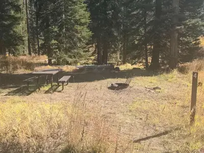 Big Creek Campground - Campsite 3
