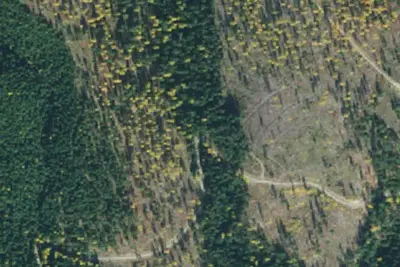 Deer Ridge 06
