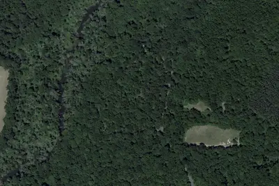 Tuckahoe State Park Non-Electric Loop