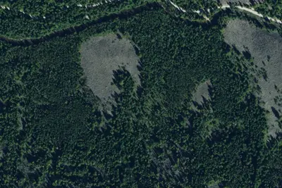 Lost Horse 008