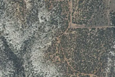 Camp site