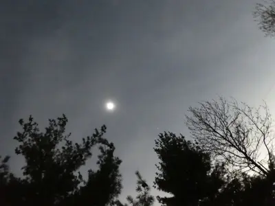 2024 Solar Eclipse (53710431884)