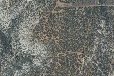 Camp site