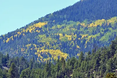 Aspen seen from FR 151 (3972193892)