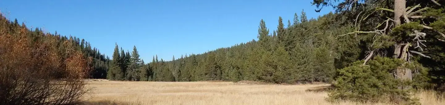 Goose Meadow Campground