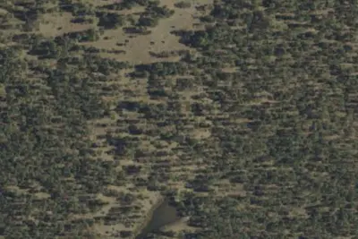 Camp site