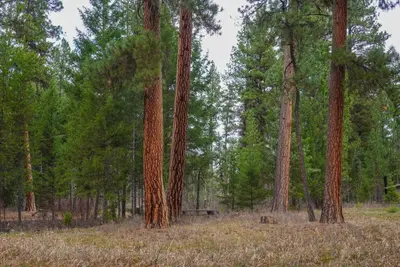 Alta Campground