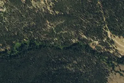 Designated Campsite