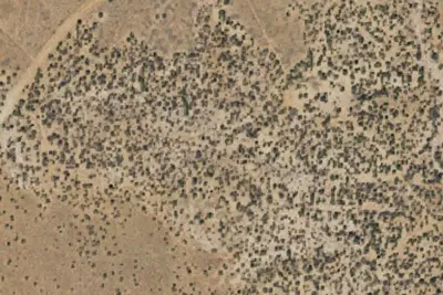 Camp site