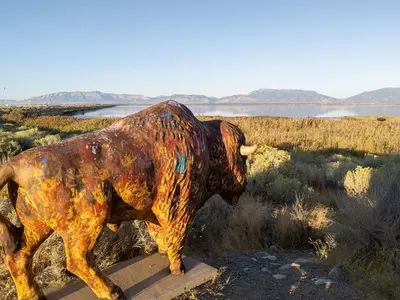 Antelope Island State Park, Great Salt Lake (49414807576)