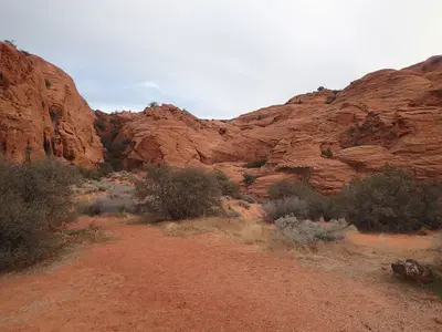 Snow Canyon - panoramio (6)