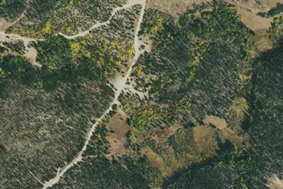 Camp site