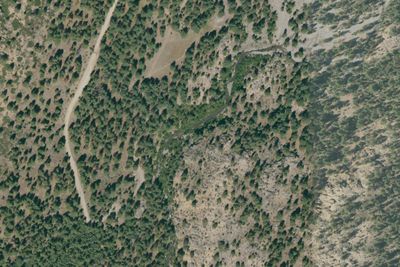 Wolf Creek
