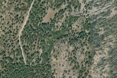 Wolf Creek