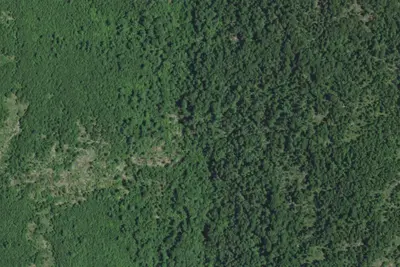 Camp site