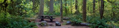 Big Creek (Gifford Pinchot National Forest, WA)