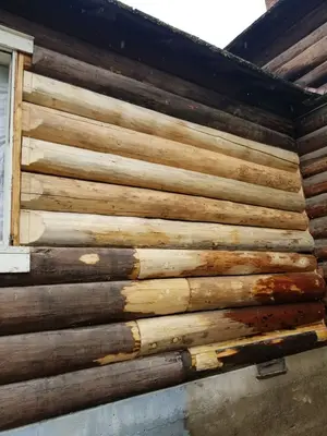 Sections of rotting log have been replaced with new segments to preserve historic material while protecting the structure, Spotted Bear Ranger Station (51762920690)