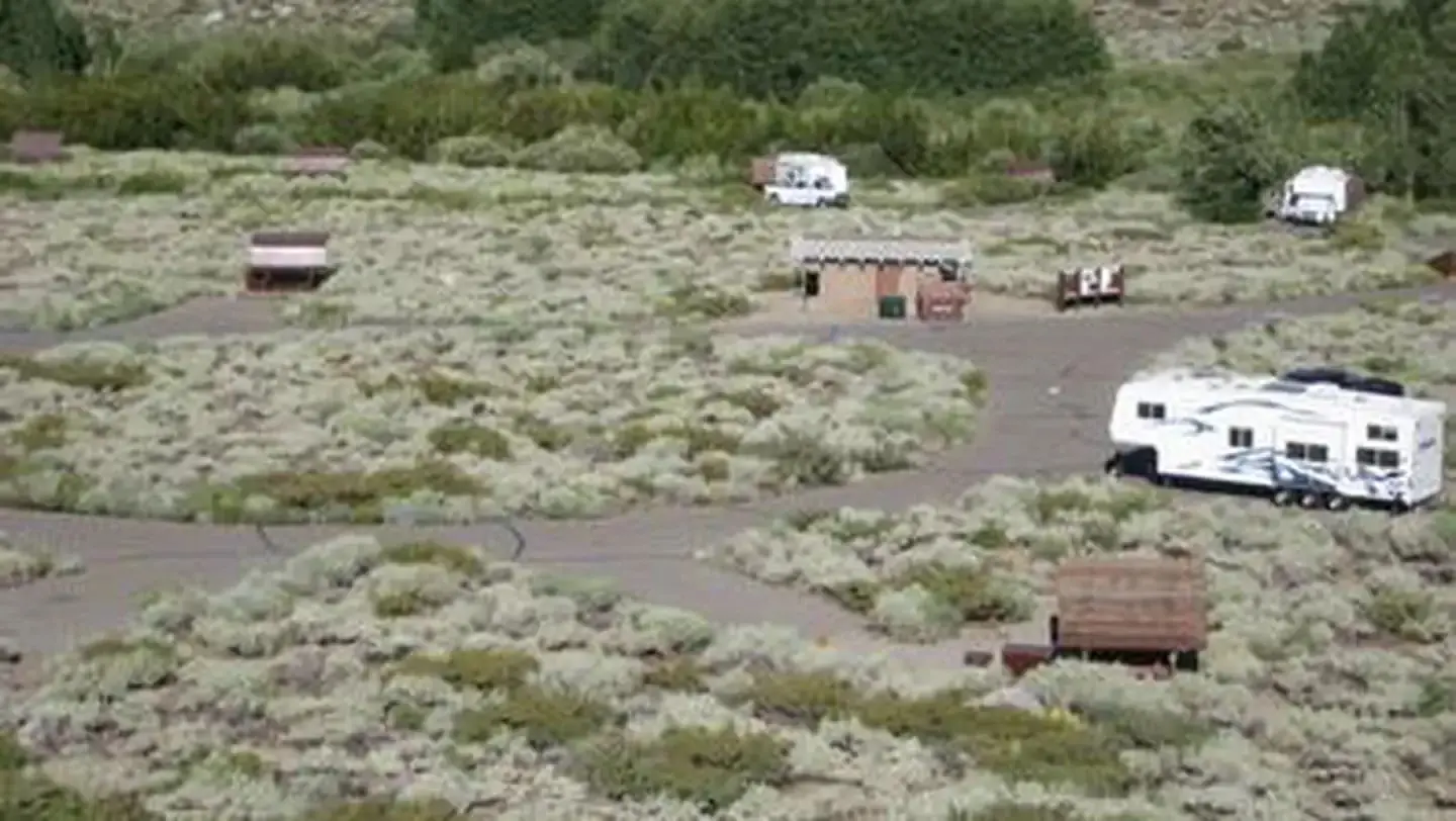 A shrub grass campground with several RVs parked in campsite spurs