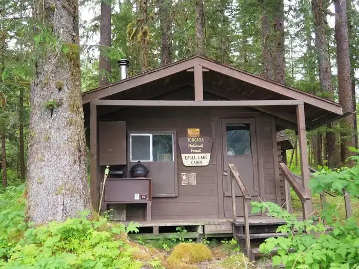 Eagle Lake Cabin brown cabin surrounded by green trees