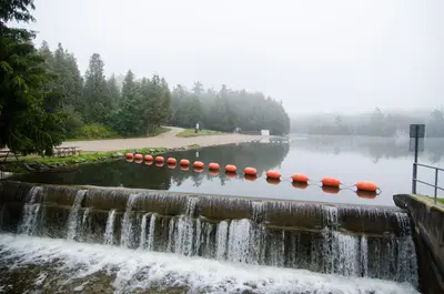 Rockwood Conservation Area (37340827851)