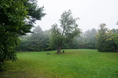 Rockwood Conservation Area (37293741256)