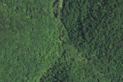 Trace Branch Camping Area