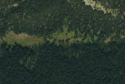 Camp site