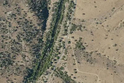 Old Goldledge Dispersed Camping