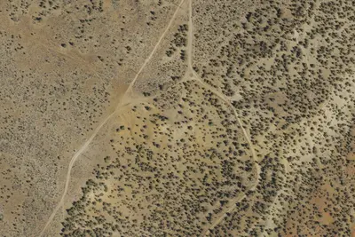 Henderson Flats Camp Site