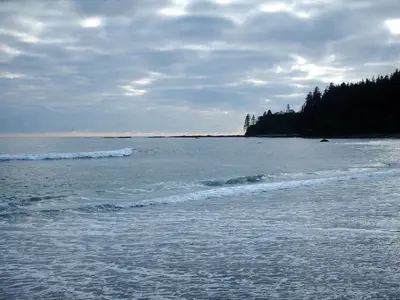 Carmanah Lighthouse from Carmanah Creek - panoramio