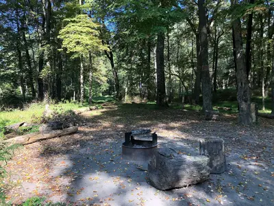 2024-09-20 10 28 49 Peter's Campsite 13 at Wallpack Bend within the Delaware Water Gap National Recreation Area in Walpack Township, Sussex County, New Jersey