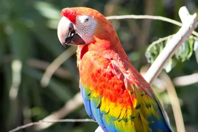 Sb Zoo 4 21 2016 (150399843)