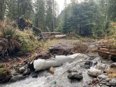 Carbon River Trail washout (51888316497)