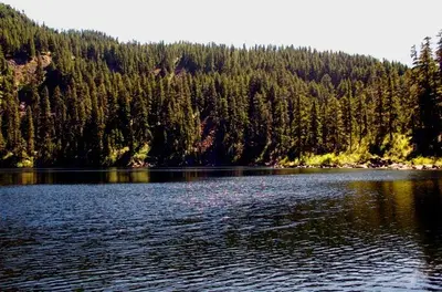 Mason Lake Solo