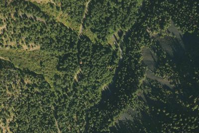 Hurricane Creek Campground