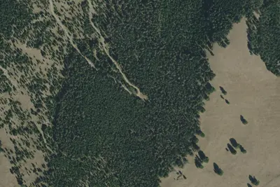 Hog Hollow Rd 614 013